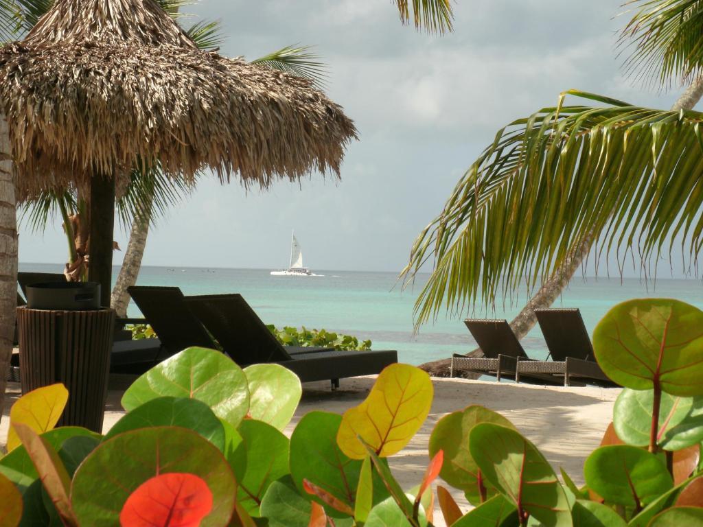 Miranda Bayahibe Hotel Luaran gambar
